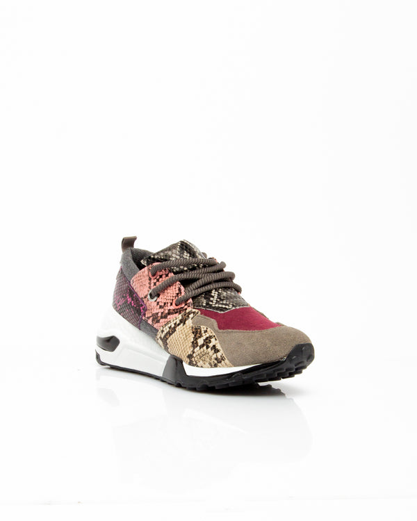 Scarpe Donna Steve Madden CLIFF GREY SNAKE CLIFF GREY SNAKE Steve Madden 