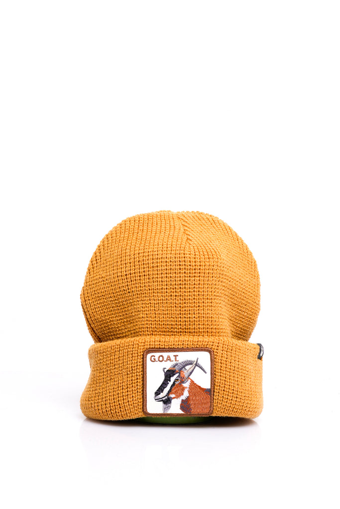 Goorin Bros. BEANIES ANIMALGOAT CML