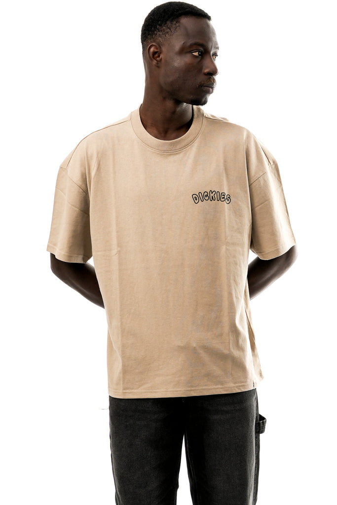 T-shirt Uomo Dickies DECARTUVILLE TEE SS DK0A87QT0DS1 DECARTUVILLE TEE SS DK0A87QT0DS1 Dickies 