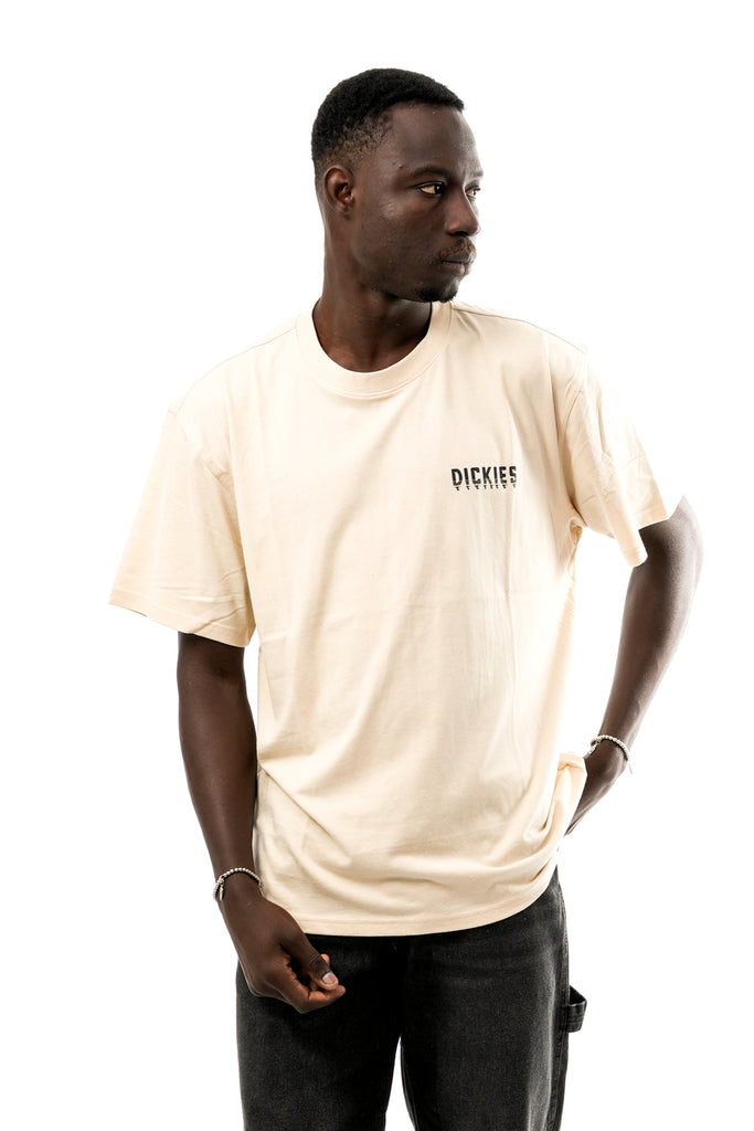 T-shirt Uomo Dickies PELHAM TEE SS DK0A87QJL171 PELHAM TEE SS DK0A87QJL171 Dickies 