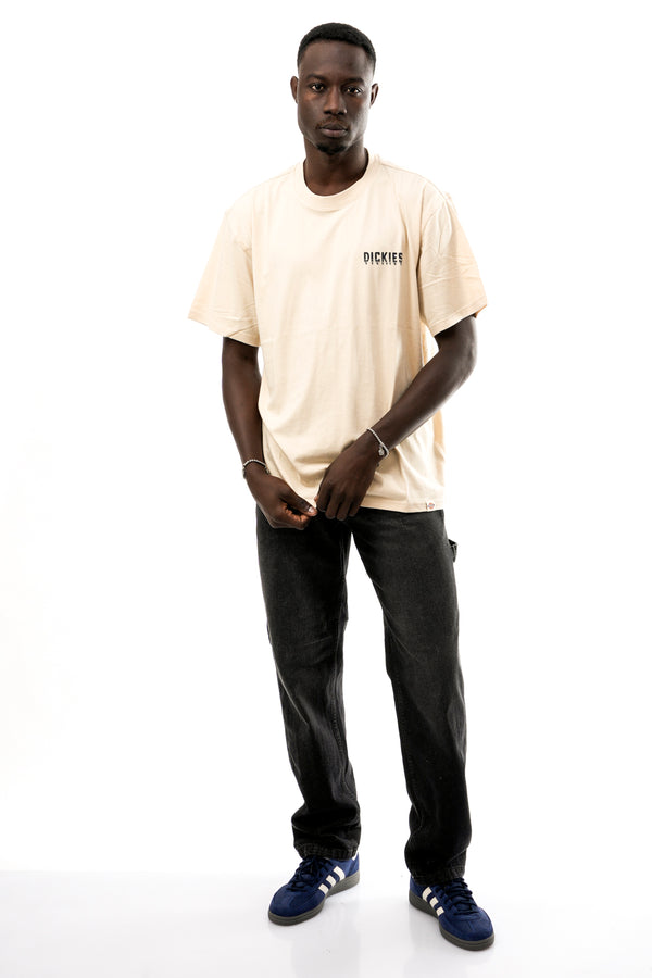 T-shirt Uomo Dickies PELHAM TEE SS DK0A87QJL171 PELHAM TEE SS DK0A87QJL171 Dickies 