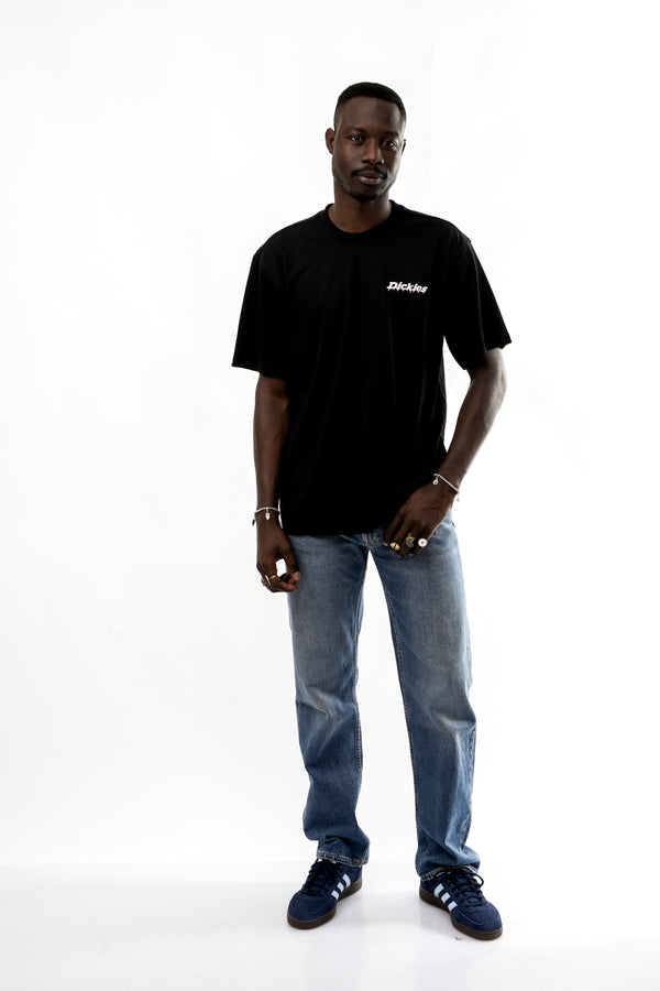 T-shirt Uomo Dickies STATESVILLE TEE SS DK0A87QPBLK1 STATESVILLE TEE SS DK0A87QPBLK1 Dickies 