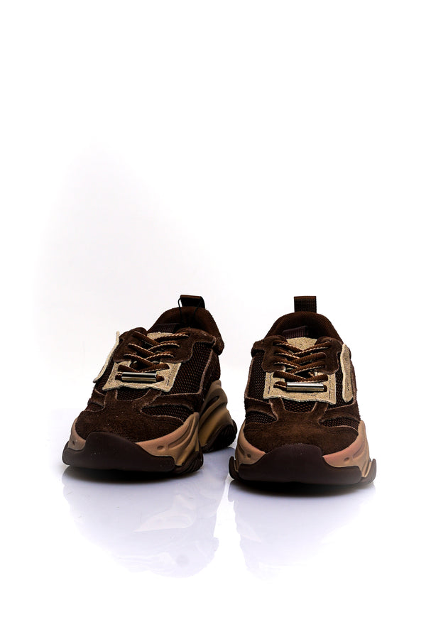 Scarpe Donna Steve Madden POSSESSION-E GND COFFE SUE POSSESSION-E GND COFFE SUE Steve Madden 