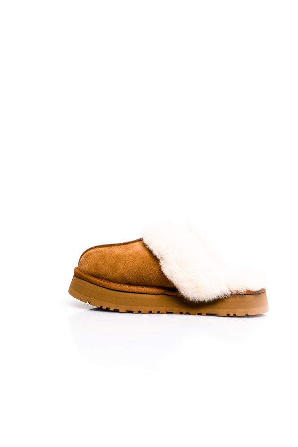 Scarpe Donna Ugg W DISQUETTE 1122550 CHESTNUT W DISQUETTE 1122550 CHESTNUT Ugg 