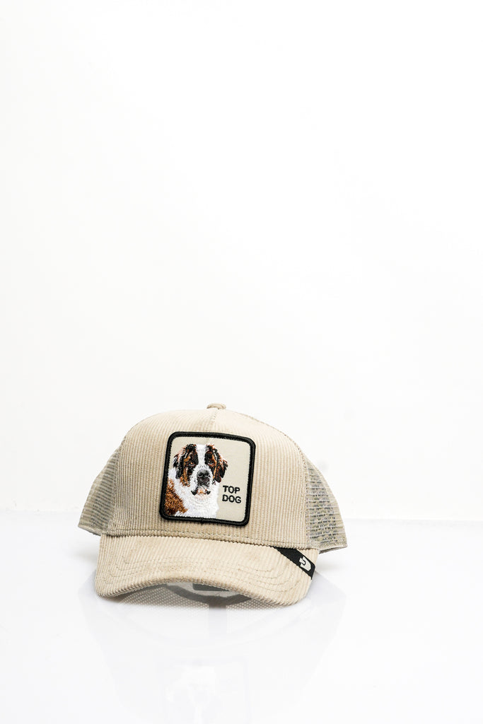 Cappello Unisex Goorin Bros. ANIMAL CAP SCO01 CORDUROYTOP DOG ANIMAL CAP SCO01 CORDUROYTOP DOG Goorin Bros. 