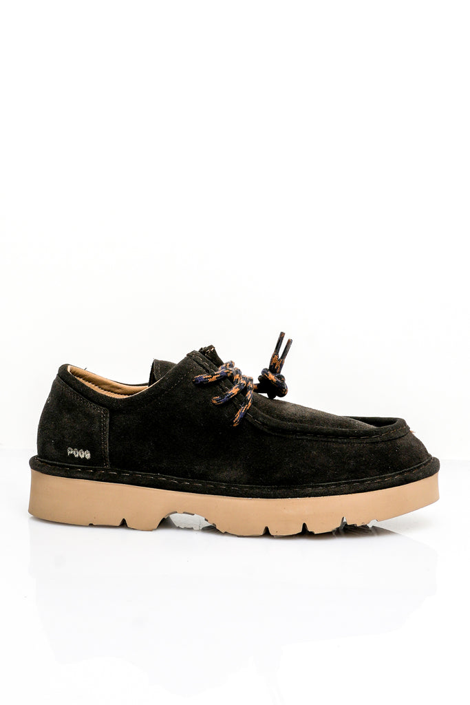 Scarpe Uomo P009 DUNE-LACE P009M014 COFFEE Panchic 