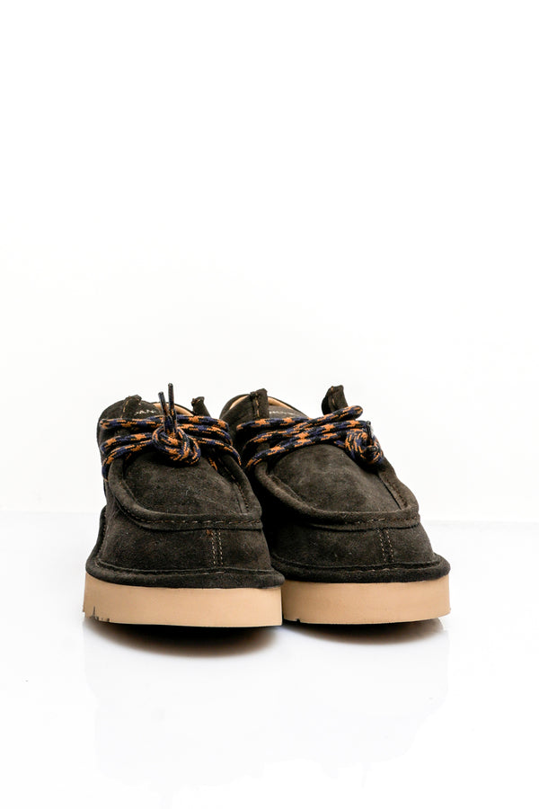 Scarpe Uomo Panchic P009 DUNE-LACE P009M014 COFFEE P009 DUNE-LACE P009M014 COFFEE Panchic 