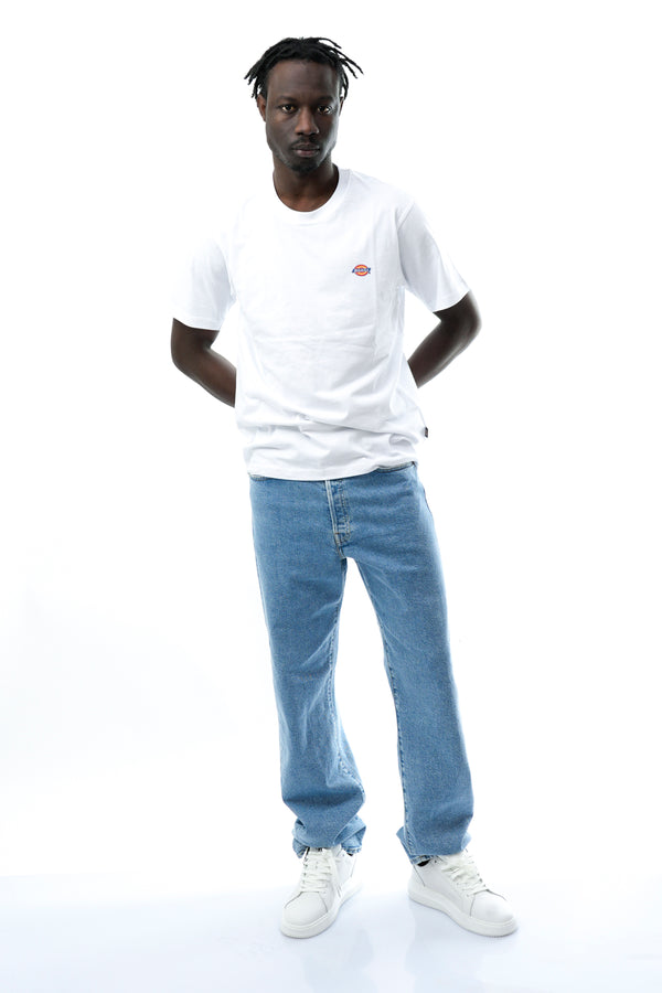 Dickies MAPLETON TEE WHITEWHX1