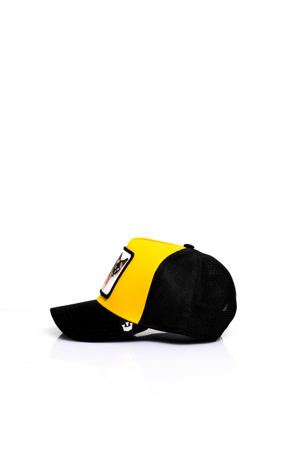 Cappello Unisex Goorin Bros. ANIMAL CAP COOL CAT GOLD