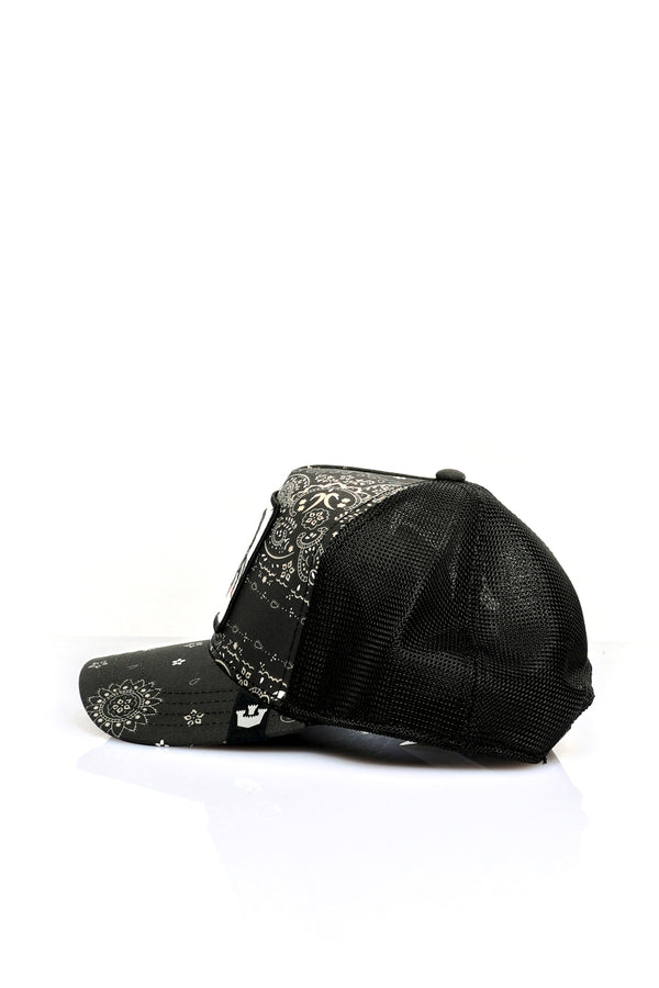 Goorin Bros. ANIMAL CAPDEADLY BLACK