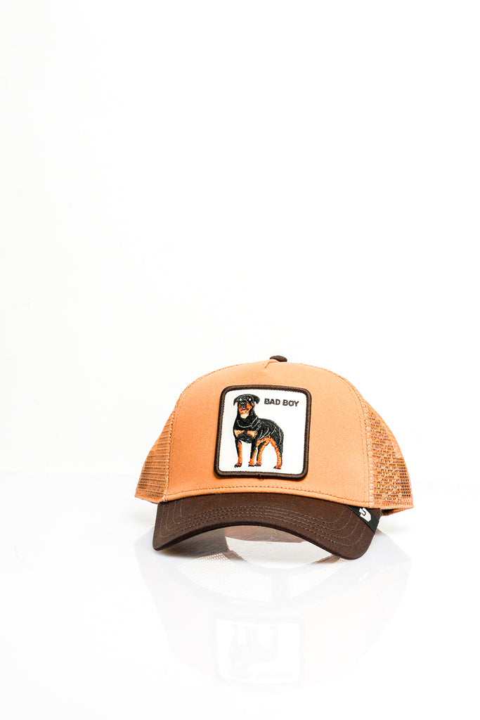 Cappello Unisex Goorin Bros. ANIMAL CAP BAD BOY HEAT GROUND ANIMAL CAP BAD BOY HEAT GROUND Goorin Bros. 
