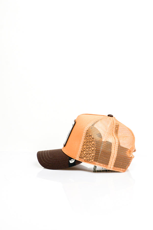 Cappello Unisex Goorin Bros. ANIMAL CAP BAD BOY HEAT GROUND ANIMAL CAP BAD BOY HEAT GROUND Goorin Bros. 
