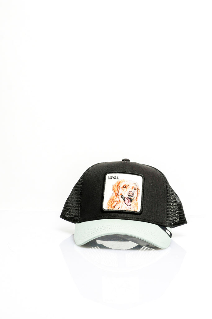 Cappello Unisex Goorin Bros. ANIMAL CAP LOYAL VOID SHADE ANIMAL CAP LOYAL VOID SHADE Goorin Bros. 