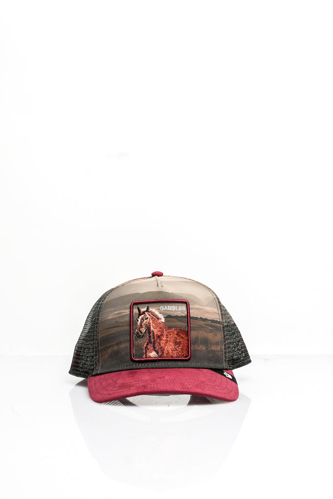 Cappello Unisex Goorin Bros. ANIMAL CAP STALLION IN THE ELEMENT RED ANIMAL CAP STALLION IN THE ELEMENT RED Goorin Bros. 