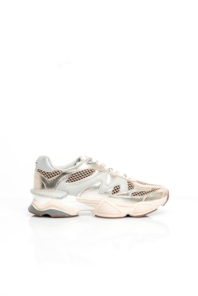Scarpe Donna Steve Madden SPEEDER GOLD MULTI SPEEDER GOLD MULTI Steve Madden 