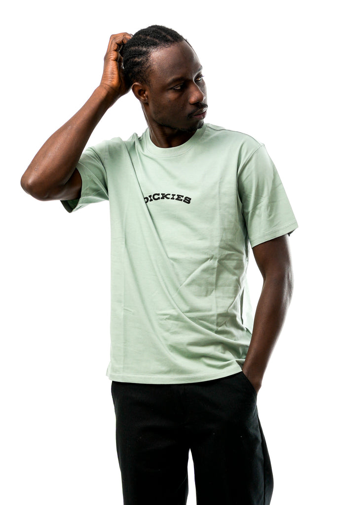 T-shirt Uomo Dickies DICKIES OUTDOOR SS TEE ICEBERG GREEN DICKIES OUTDOOR SS TEE ICEBERG GREEN Dickies 
