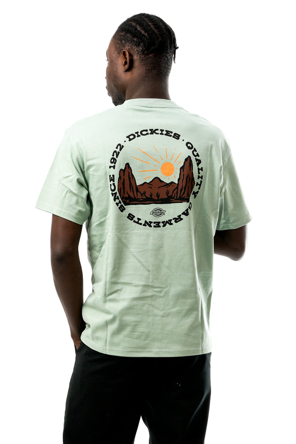 T-shirt Uomo Dickies DICKIES OUTDOOR SS TEE ICEBERG GREEN DICKIES OUTDOOR SS TEE ICEBERG GREEN Dickies 