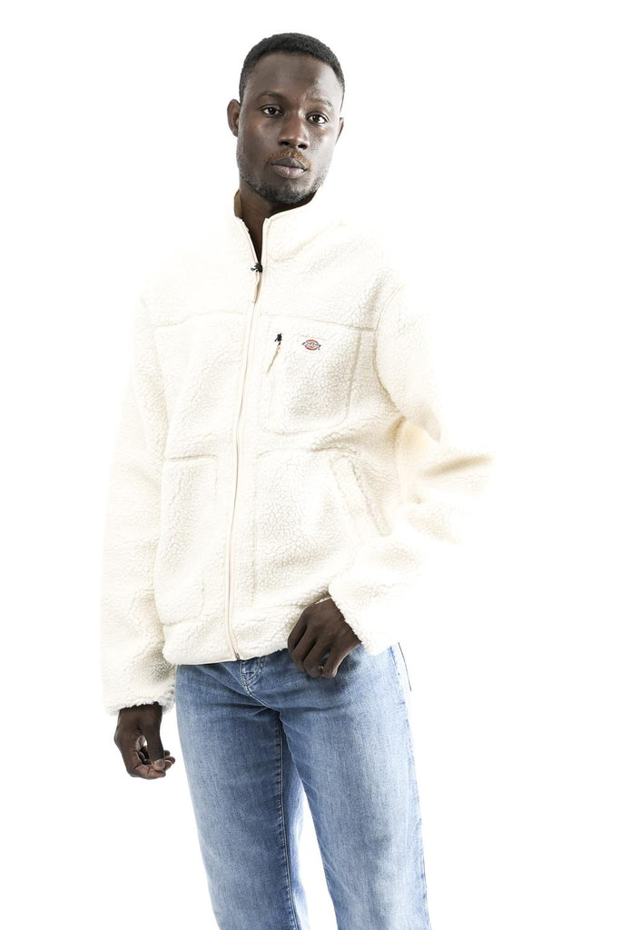 Felpa Uomo MOUNT HOPE FLEECE DK0A4YEEF901 Dickies 