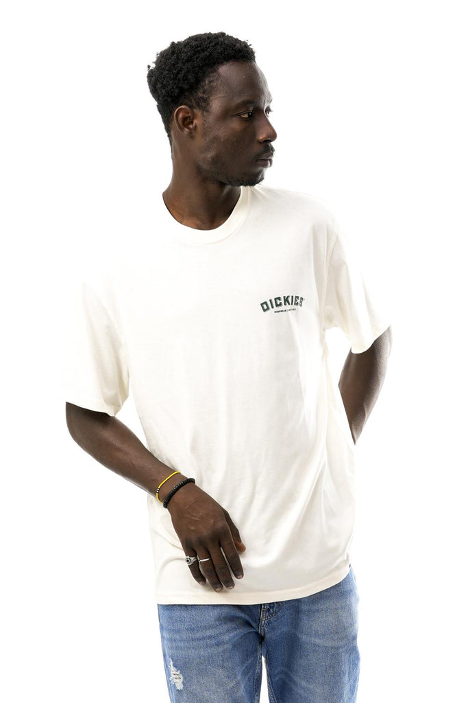 Dickies DICKIES BUILDER TEE SSCLOUD