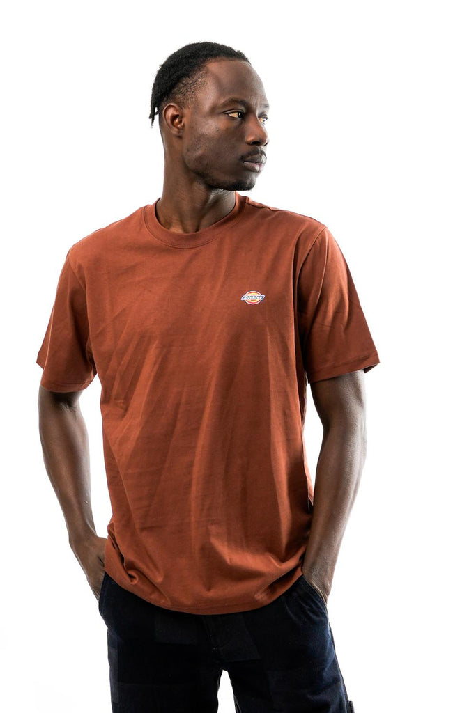 T-shirt Uomo Dickies SS MAPLETON TEE CAPPUCCINO SS MAPLETON TEE CAPPUCCINO Dickies 