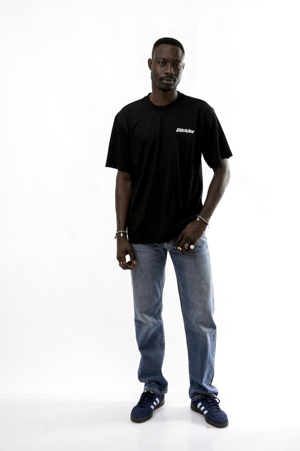 T-shirt Uomo Dickies STATESVILLE TEE SS DK0A87QPBLK1 STATESVILLE TEE SS DK0A87QPBLK1 Dickies 