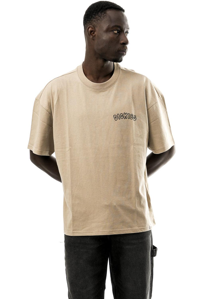 T-shirt Uomo DECARTUVILLE TEE SS DK0A87QT0DS1 Dickies 