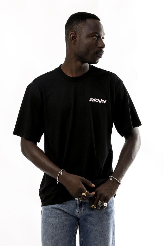 T-shirt Uomo Dickies STATESVILLE TEE SS DK0A87QPBLK1 STATESVILLE TEE SS DK0A87QPBLK1 Dickies 