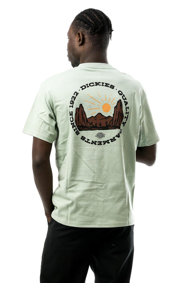 T-shirt Uomo Dickies DICKIES OUTDOOR SS TEE ICEBERG GREEN DICKIES OUTDOOR SS TEE ICEBERG GREEN Dickies 