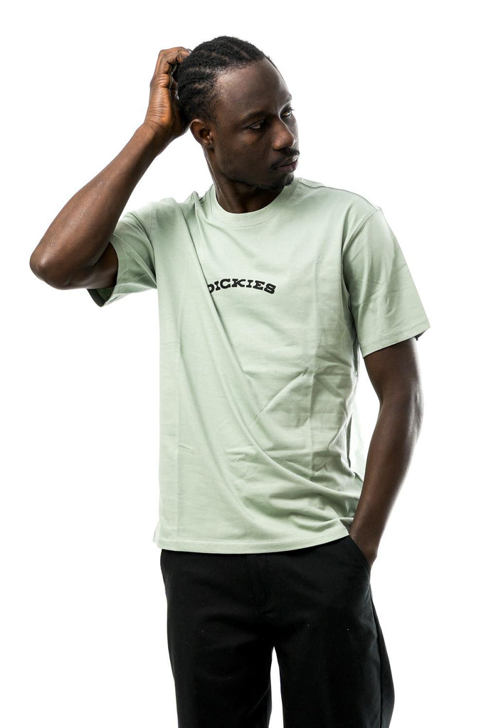 T-shirt Uomo Dickies DICKIES OUTDOOR SS TEE ICEBERG GREEN DICKIES OUTDOOR SS TEE ICEBERG GREEN Dickies 