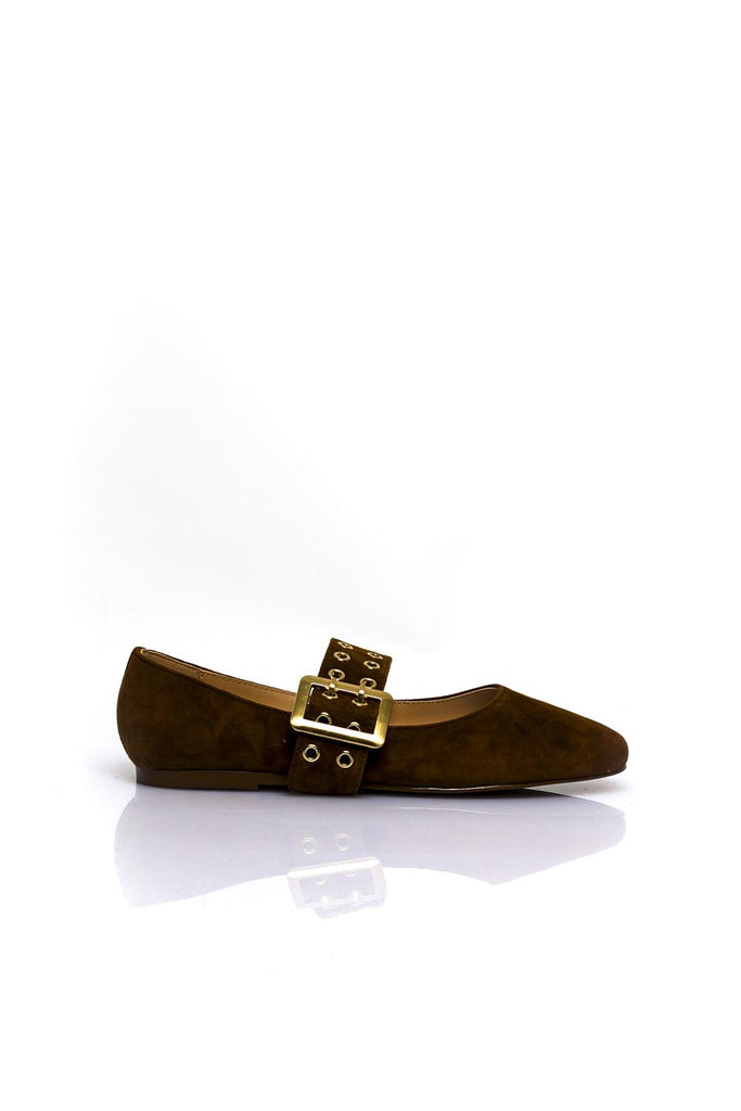 Scarpe Donna ATLANTICA CHESTNAT SUEDE Steve Madden 