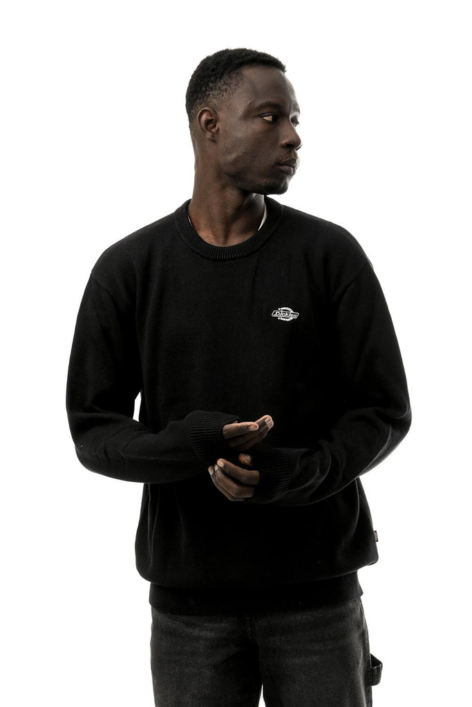 Felpa Uomo SUMMERDALE SWEATER DK0A87OPBLK1 Dickies 